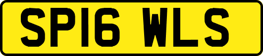 SP16WLS