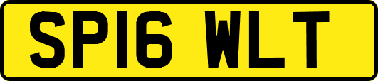 SP16WLT