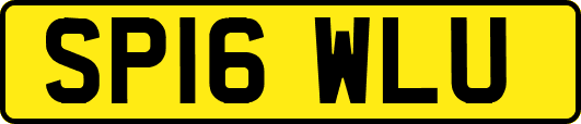 SP16WLU