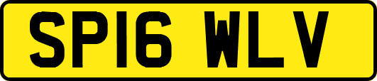 SP16WLV