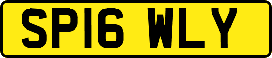 SP16WLY