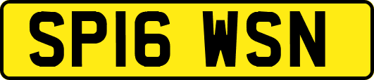 SP16WSN