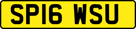 SP16WSU