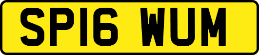 SP16WUM