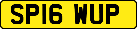 SP16WUP