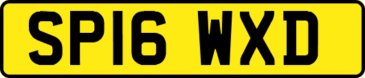 SP16WXD