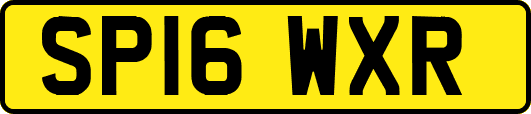 SP16WXR
