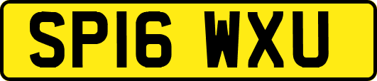 SP16WXU