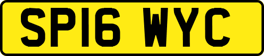 SP16WYC