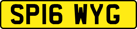 SP16WYG