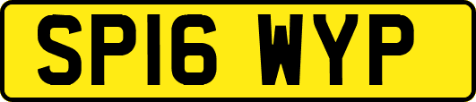 SP16WYP