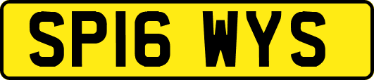 SP16WYS