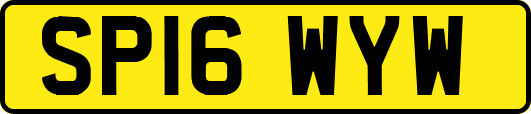 SP16WYW