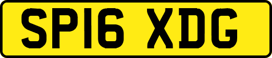 SP16XDG
