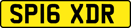 SP16XDR