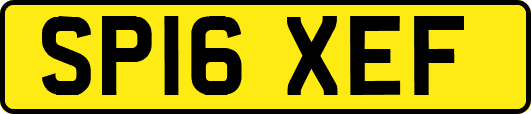 SP16XEF