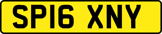 SP16XNY