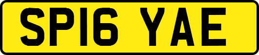 SP16YAE
