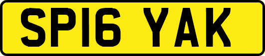 SP16YAK