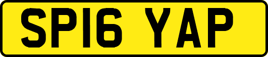SP16YAP