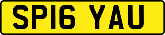 SP16YAU
