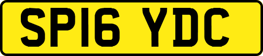 SP16YDC