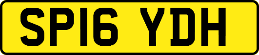 SP16YDH