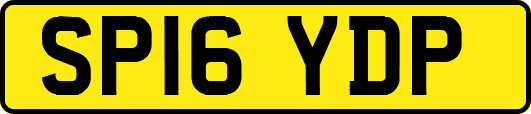 SP16YDP