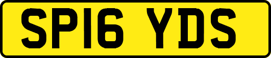 SP16YDS