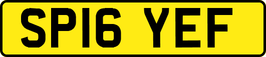 SP16YEF