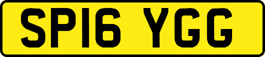 SP16YGG