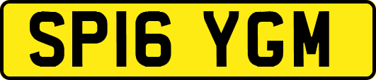 SP16YGM