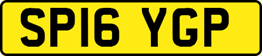 SP16YGP