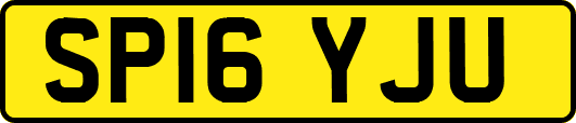 SP16YJU