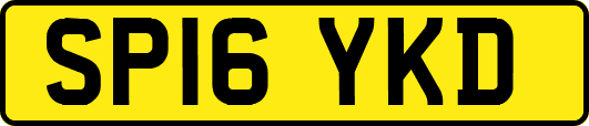 SP16YKD