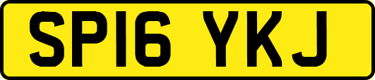 SP16YKJ