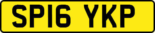 SP16YKP
