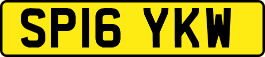 SP16YKW