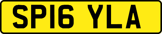 SP16YLA