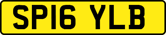 SP16YLB