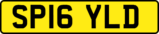 SP16YLD