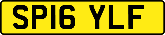 SP16YLF