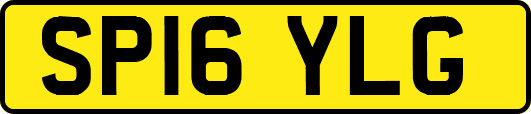 SP16YLG