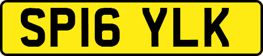SP16YLK