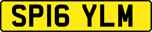 SP16YLM