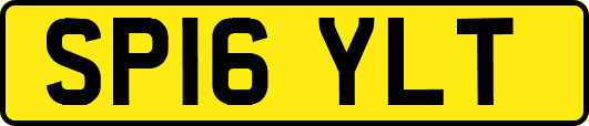 SP16YLT