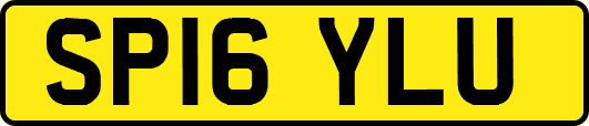 SP16YLU