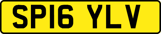 SP16YLV