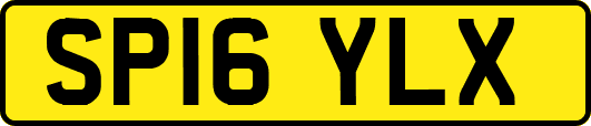 SP16YLX