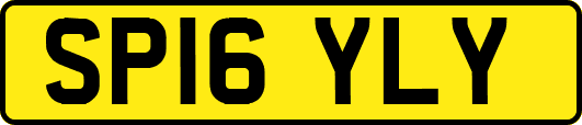 SP16YLY